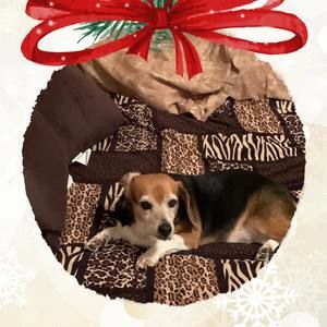 Meet your Posher, Debra